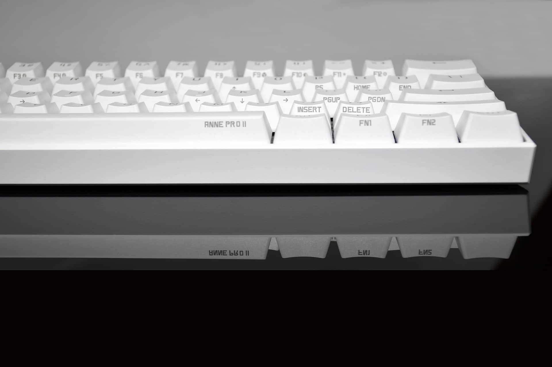 [Pre-order] Anne Pro 2 with Gateron switches – Flashquark
