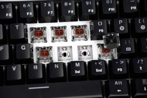 Optical Gateron Brown Close